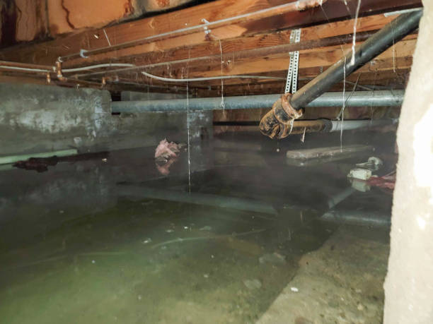 Professional Water damage restoration in OK