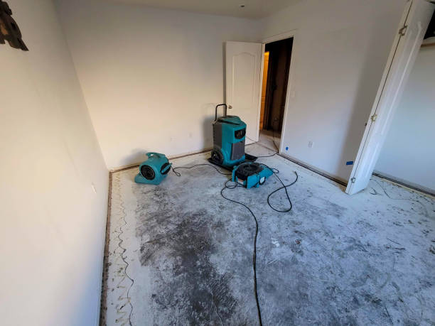 Best Water damage restoration near me  in Jay, OK
