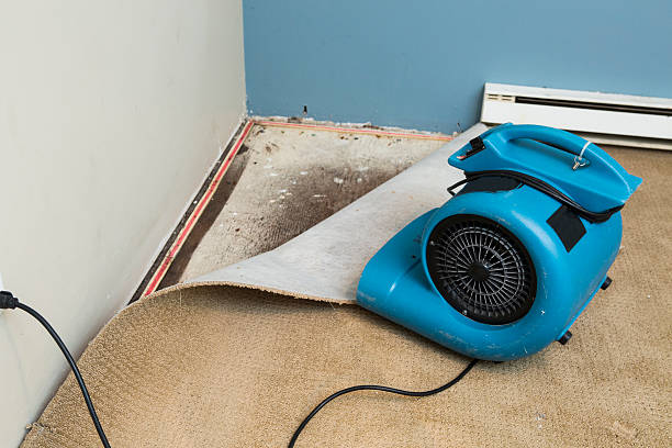 Best Residential water damage restoration  in Jay, OK